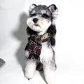 Gucci Dog Scarf