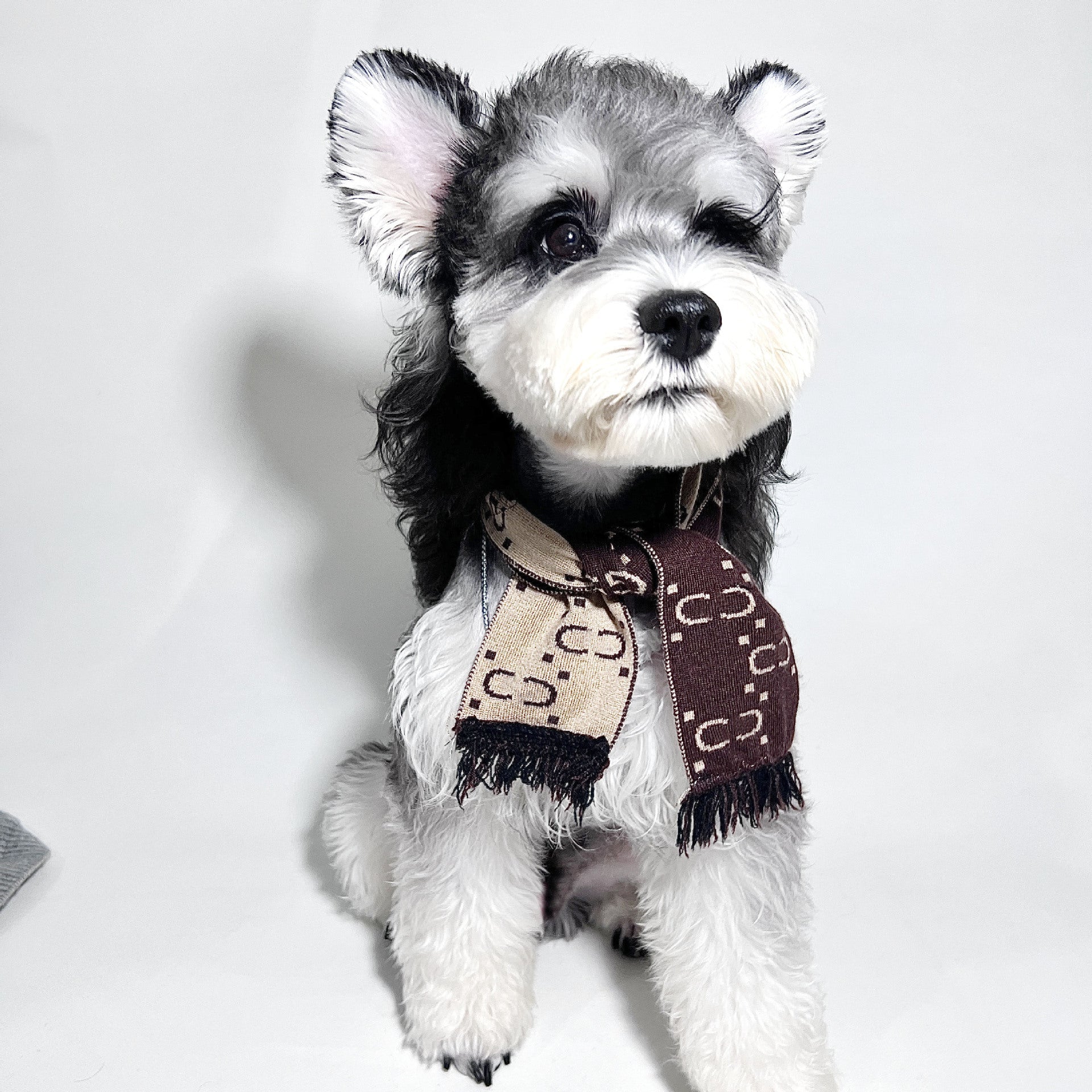 Gucci Dog Scarf