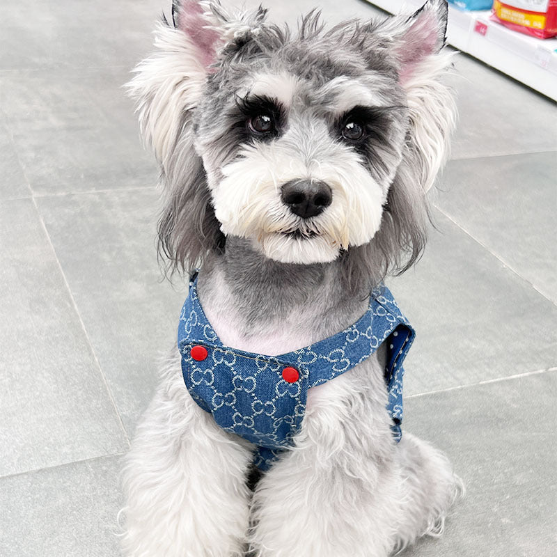 Gucci Dog Clothes