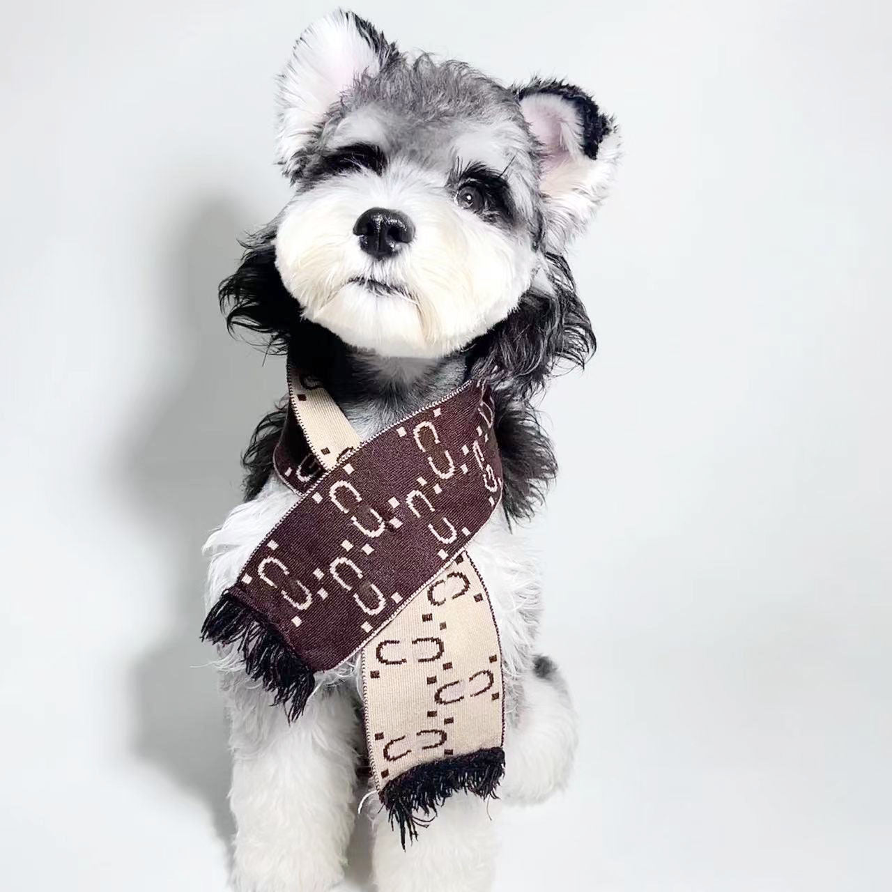 Gucci Dog Scarf