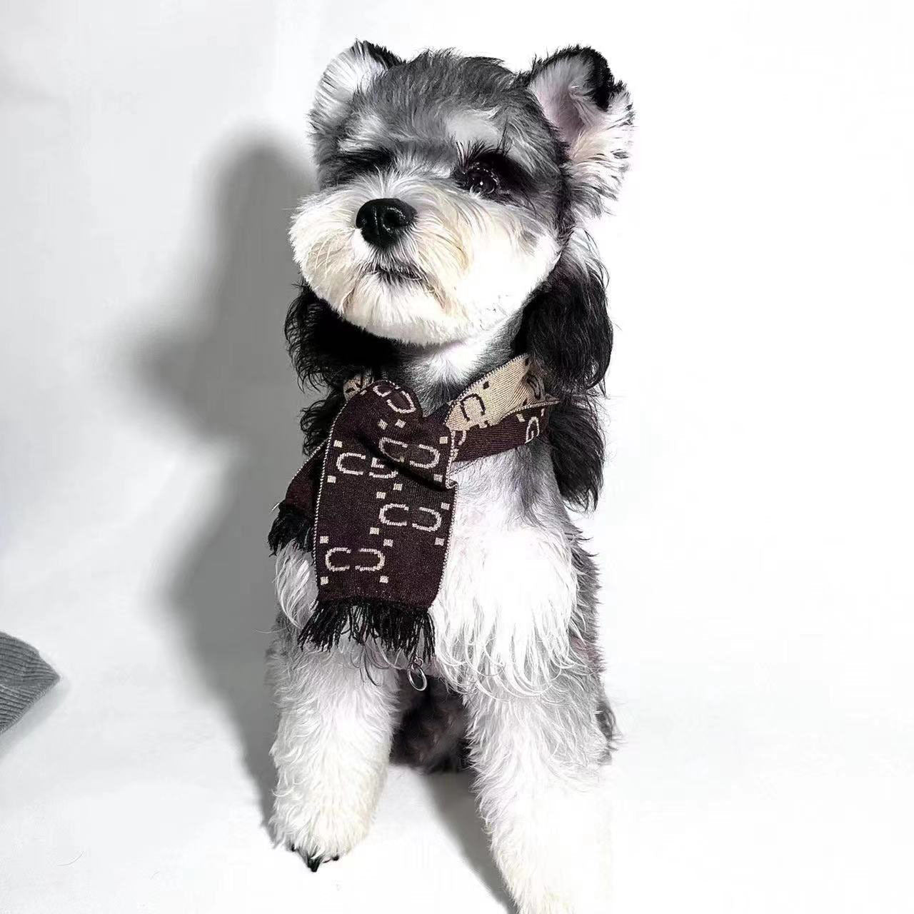 Gucci Dog Scarf