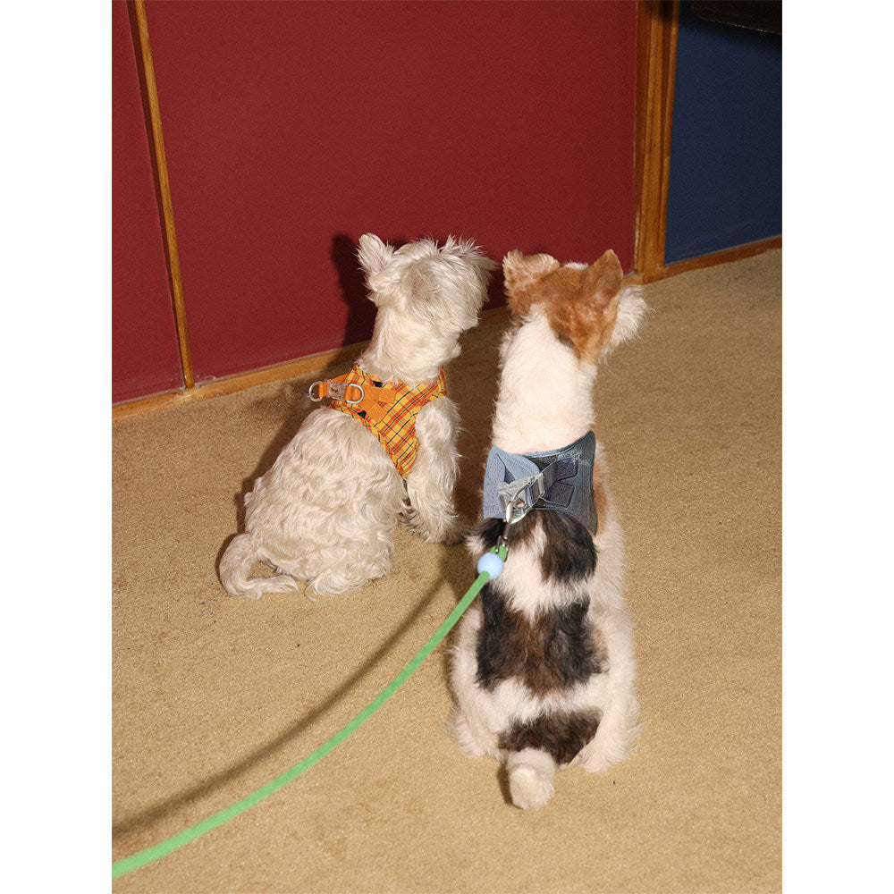 Tagi Heart Leash