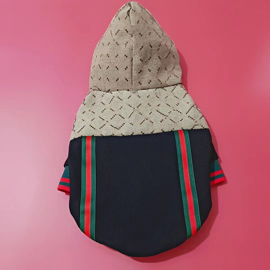 Gucci Teddy Puppy Clothes