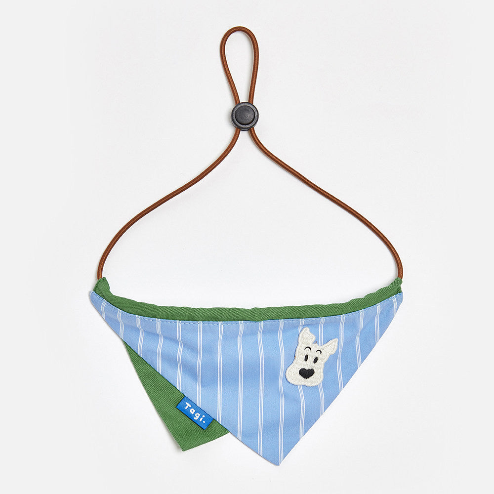Tagi Dog Scarf