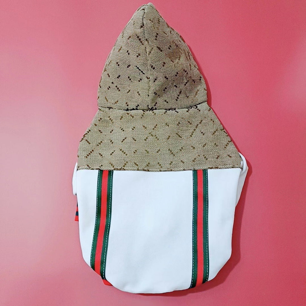 Gucci Teddy Puppy Clothes
